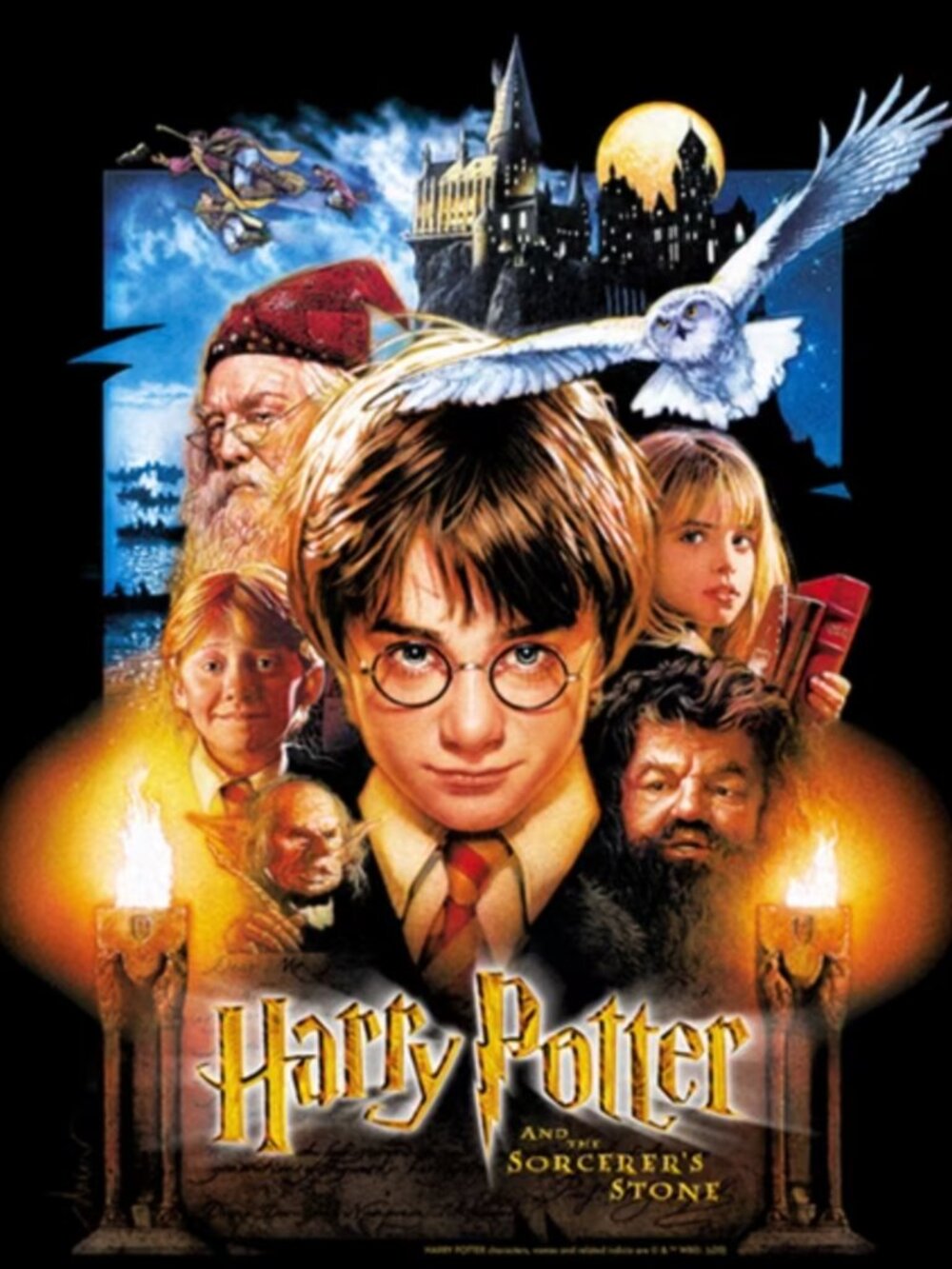 Warner Bros Harry Potter Graphic Tee NWT S M L Sorcerer's Stone Movie Poster Art - Picture 3 of 4